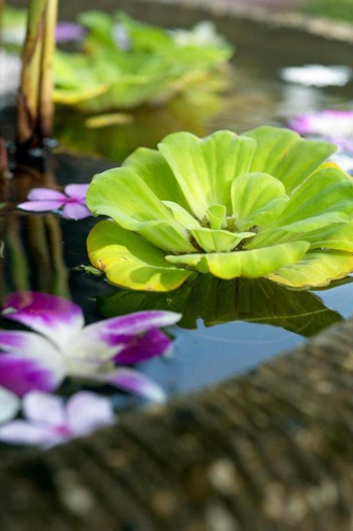 Sun Yi Villas PENANG Zewnętrze zdjęcie
